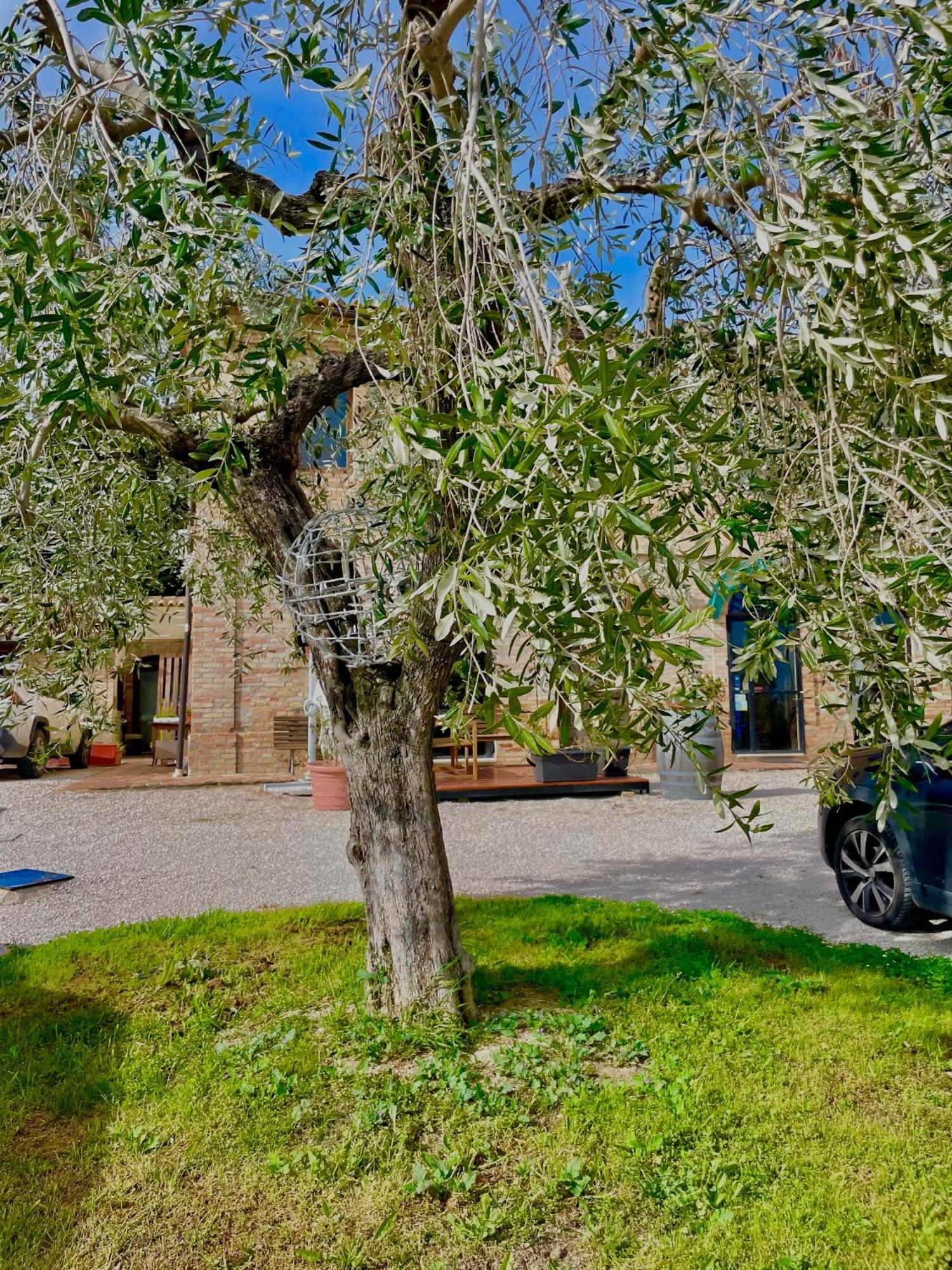 Masseria Tattoni - Residenza Di Campagna - Narramondo Villas Bellante Екстериор снимка
